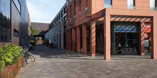 cecilevaneedensieradeneindhoven310